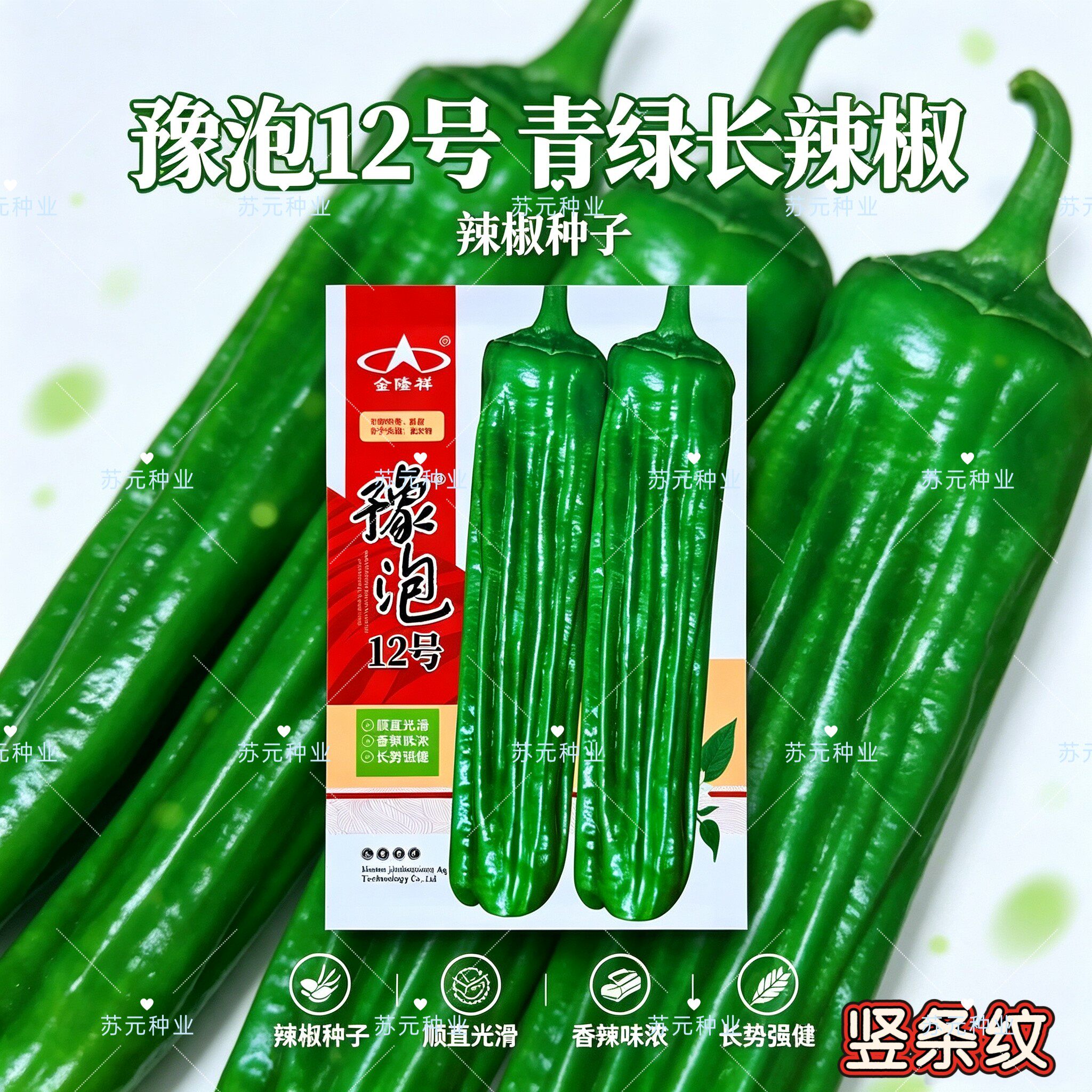 豫泡12号竖条纹薄皮辣椒种子早熟抗病皮薄味辣高产马嘴型大田种孑