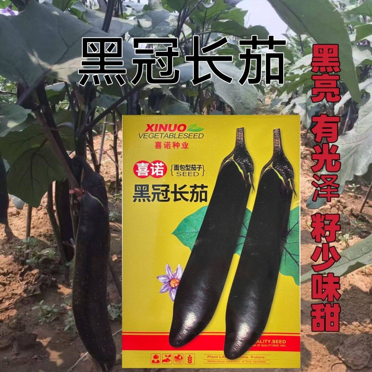 黑冠长茄种子黑亮有光泽高产黑长茄子种四季田园盆栽阳台蔬菜种子