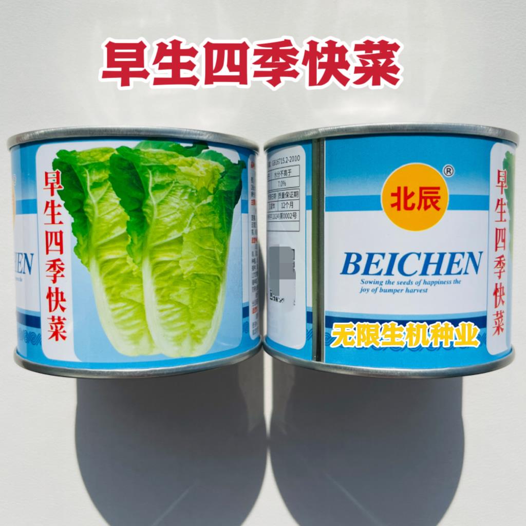 青岛早生四季快菜种子耐热耐湿春夏秋季播农家小白菜种籽蔬菜