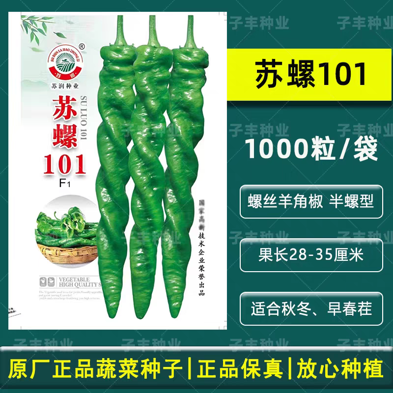 苏螺101螺丝椒种子高产抗病耐热耐寒南北方农家菜园秋季播螺丝椒
