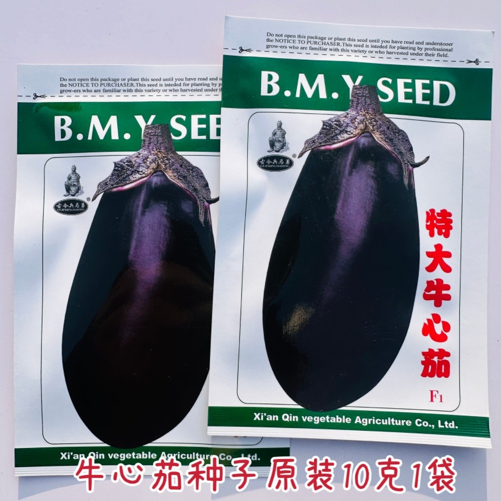 特大牛心茄种子大果抗病牛心茄黑籽油亮茄子种籽农家春播蔬菜种孑