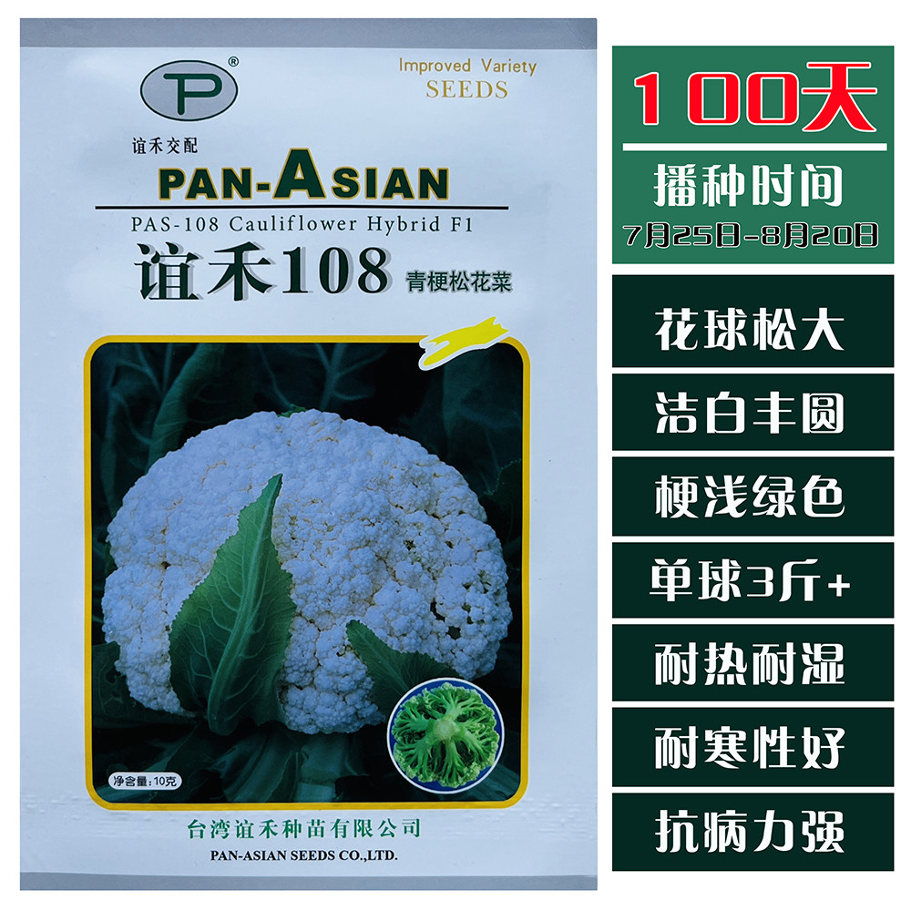 谊禾108青梗松花菜种子晚熟耐寒抗病丰产白花菜种籽花椰菜蔬菜籽