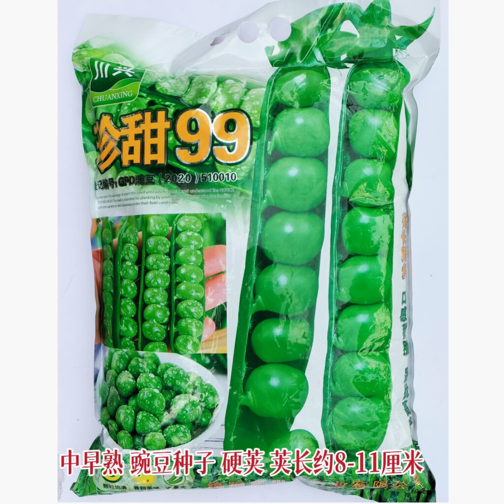珍甜99豌豆种子中早熟硬荚豌豆种籽春秋播种耐旱耐寒蔬菜种孑
