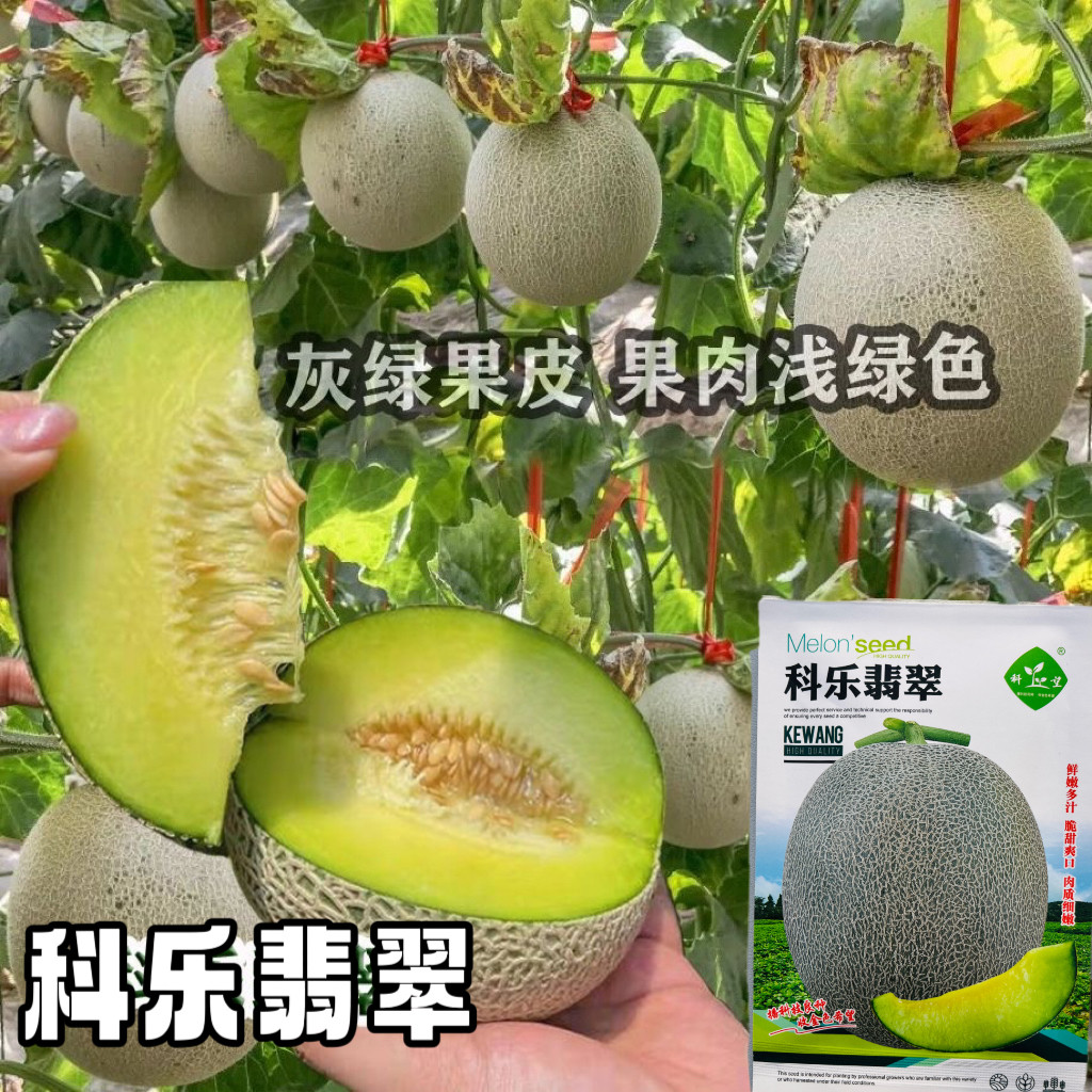 科乐翡翠哈密瓜薄皮酥脆多汁高糖