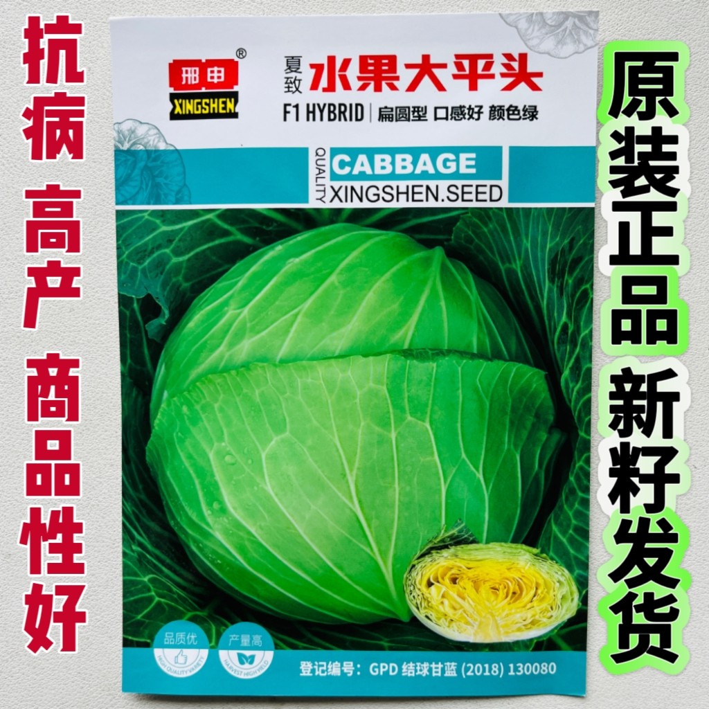 夏致水果大平头甘蓝种子扁圆型结球抗病高产商品性佳农家夏秋季播