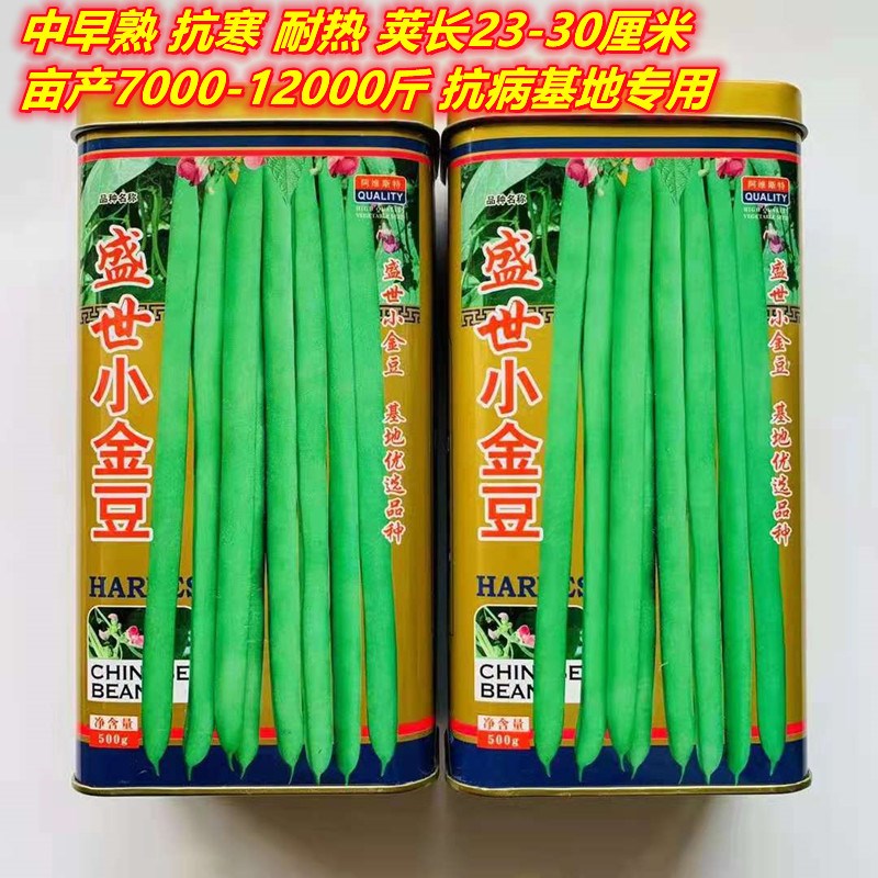 盛世四季豆种子锦绣红花小金