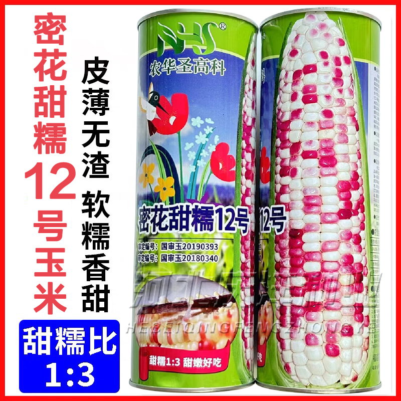 密花甜糯12号玉米种子彩甜糯国审大棒非转基因花彩糯玉米种子籽孑