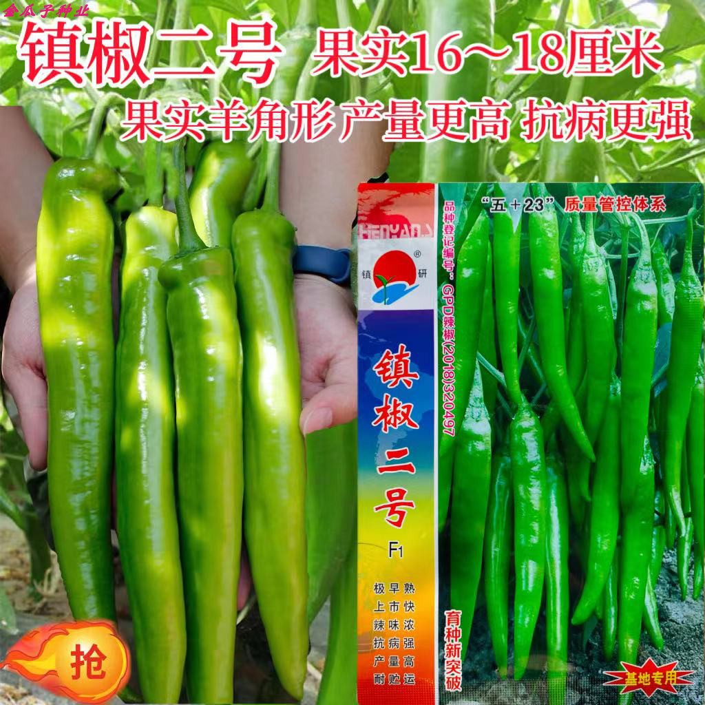 镇椒二号辣椒种子早熟高产羊角椒种籽优质尖椒种籽孑四季蔬菜籽种