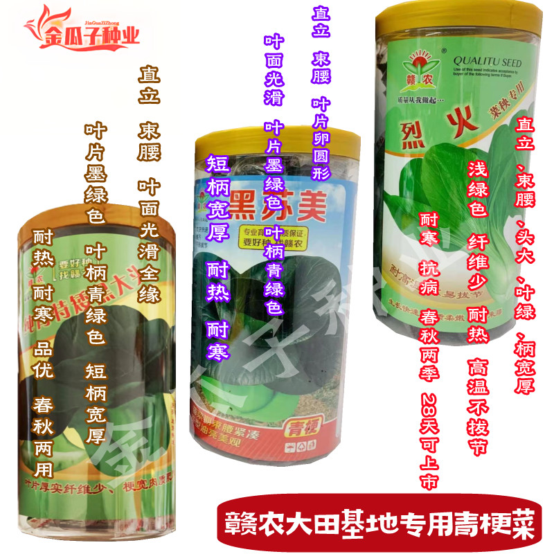 赣农黑苏美青梗菜种子耐热耐寒叶绿质优纤维少特矮黑大头青菜种籽