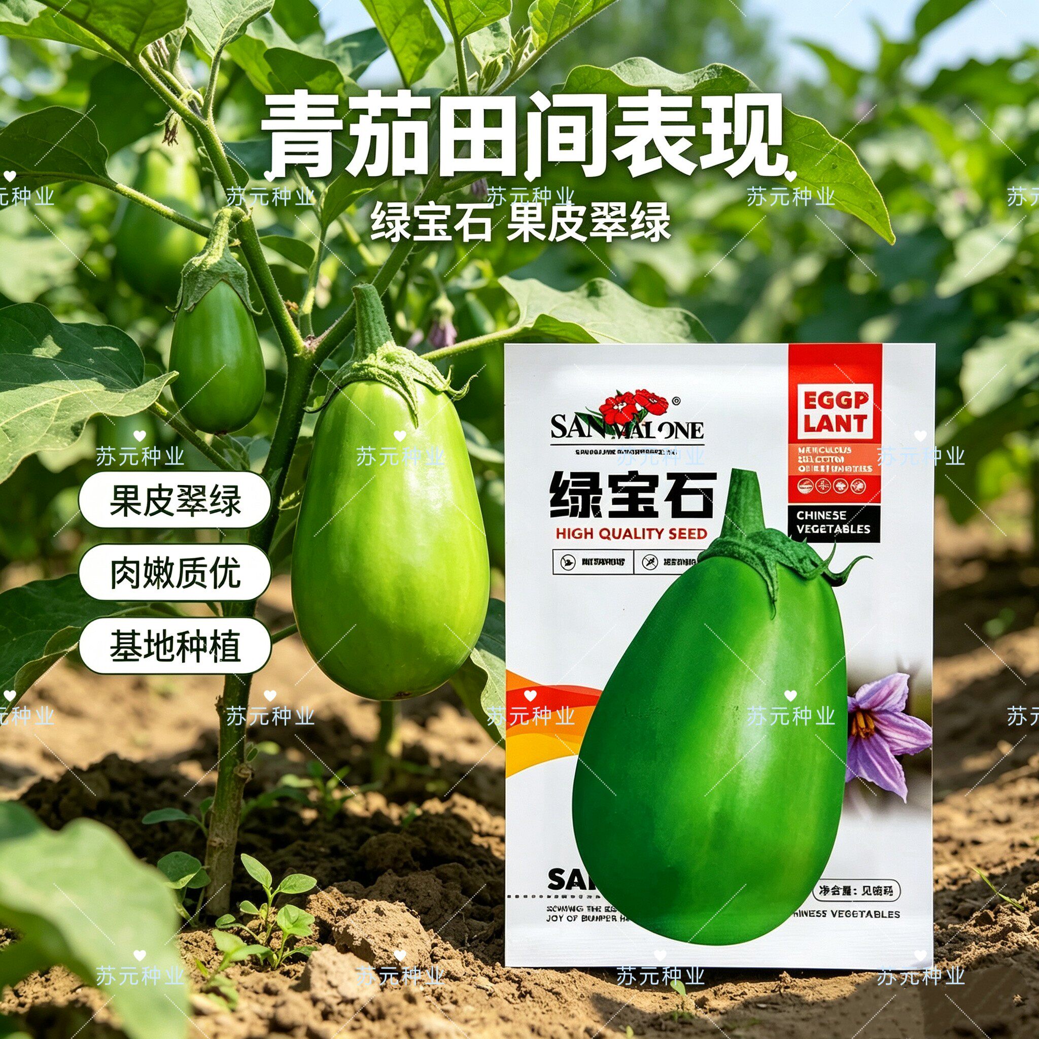 绿宝石青茄茄子种子长茄线茄农家大田阳台易种四季种植蔬菜种籽