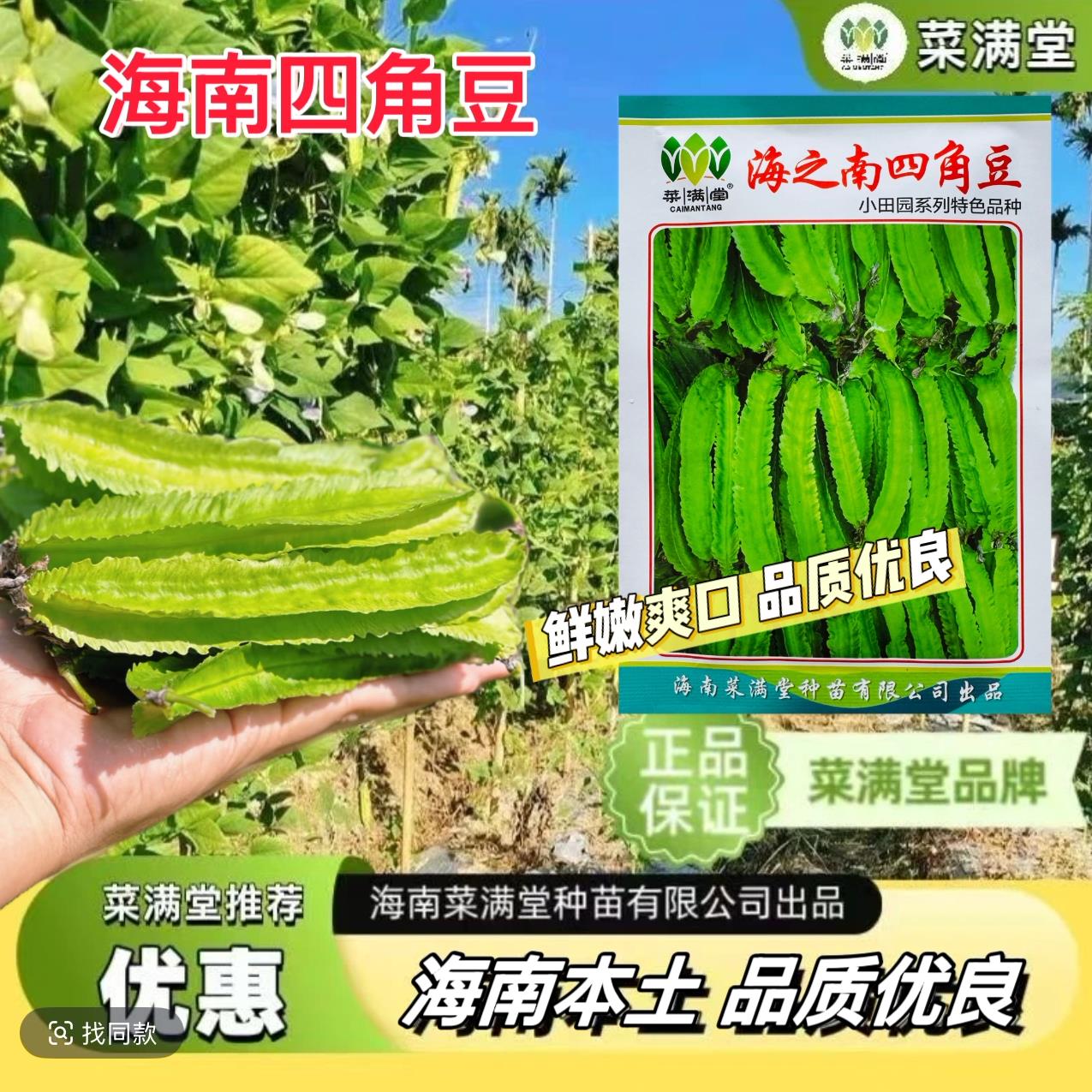 海之南四角豆多年生皇帝豆花叶果根都能吃四季蔬菜耐热龙豆种子
