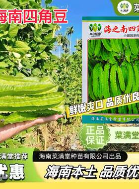 海之南四角豆多年生皇帝豆花叶果根都能吃四季蔬菜耐热龙豆种子