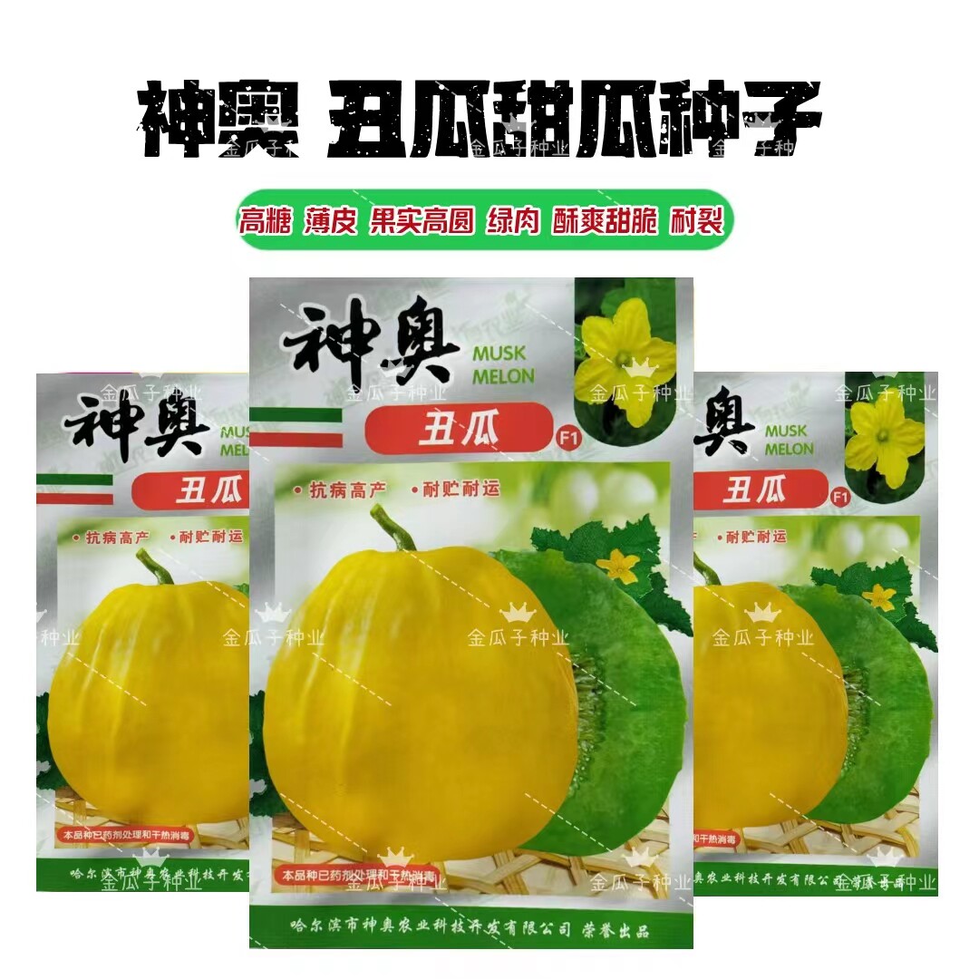 丑瓜甜瓜高糖薄皮绿肉香瓜甜脆酥