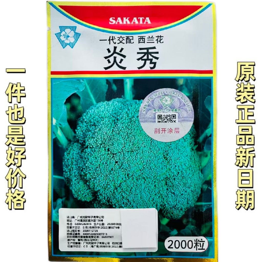 炎秀西兰花种子中熟耐热青花菜蔬菜种籽春秋季西蓝花种子籽孑