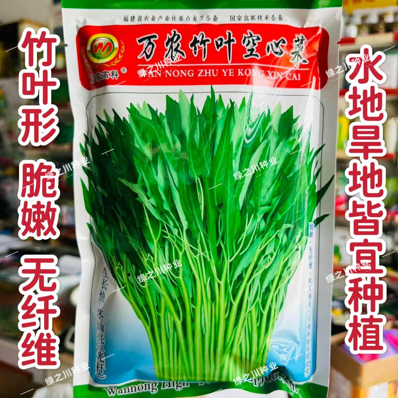 万农竹叶空心菜种子春夏秋蕹菜种籽通心菜种子旱地水地耐热蔬菜种