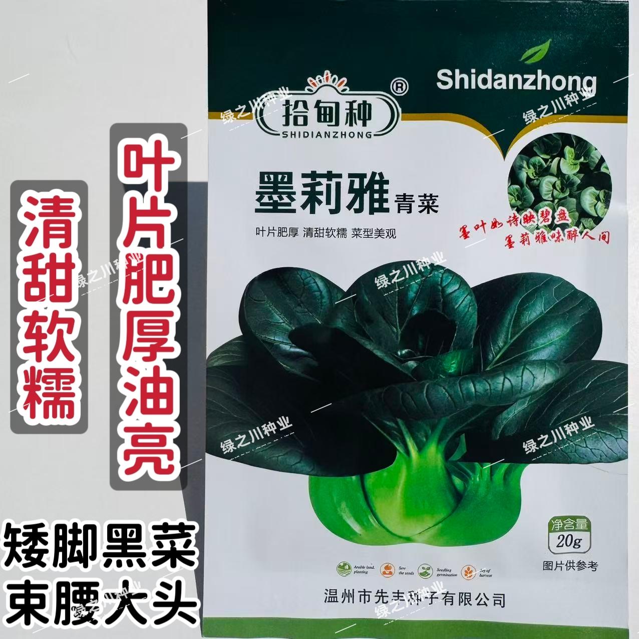 墨莉雅青菜种子杂交矮脚黑叶苏州青种子软糯清甜春秋易种蔬菜种籽