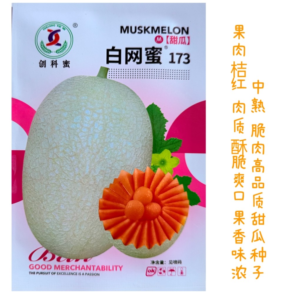 白网密173甜瓜种子中熟口感酥脆香味浓哈密瓜种籽春秋播脆甜瓜籽