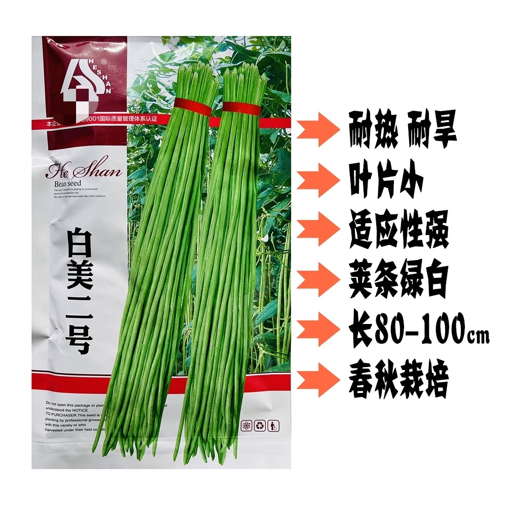 禾山白美二号豇豆种子绿白条豆角种籽耐热耐寒长豆角种籽春夏播种