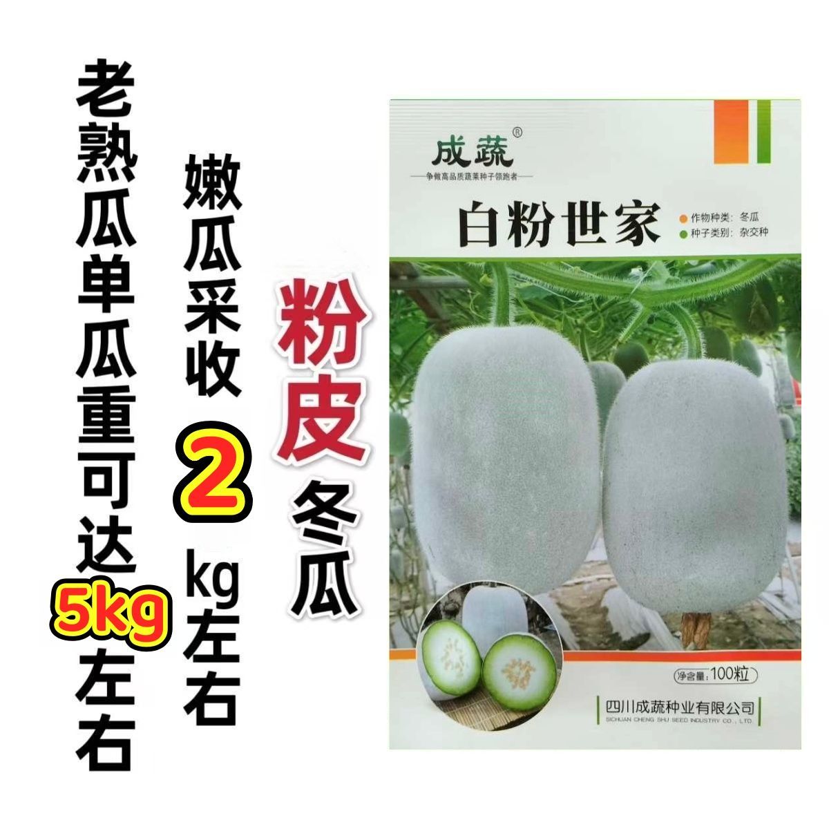 白粉世家冬瓜种子早熟粉皮冬瓜种子肉质酥脆甜瓜种子春秋播蔬菜种