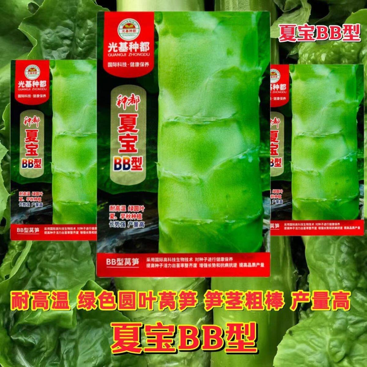 种都夏宝BB型莴笋种子耐热绿色圆叶莴笋种籽农家四季莴苣蔬菜种孑