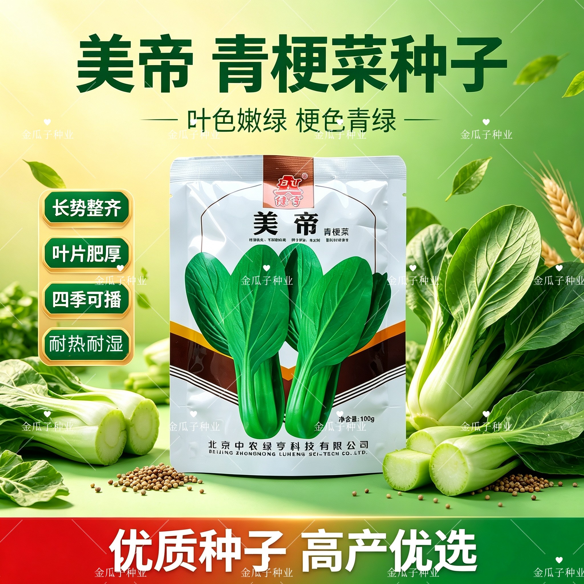 美帝青梗菜小白菜种子夏季耐热耐湿不易拔节易扎捆四季小白菜种子