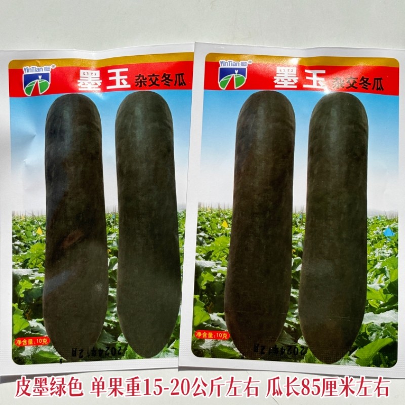 墨玉杂交冬瓜种子农家春秋季四季蔬菜种孑黑皮大果型冬瓜种籽