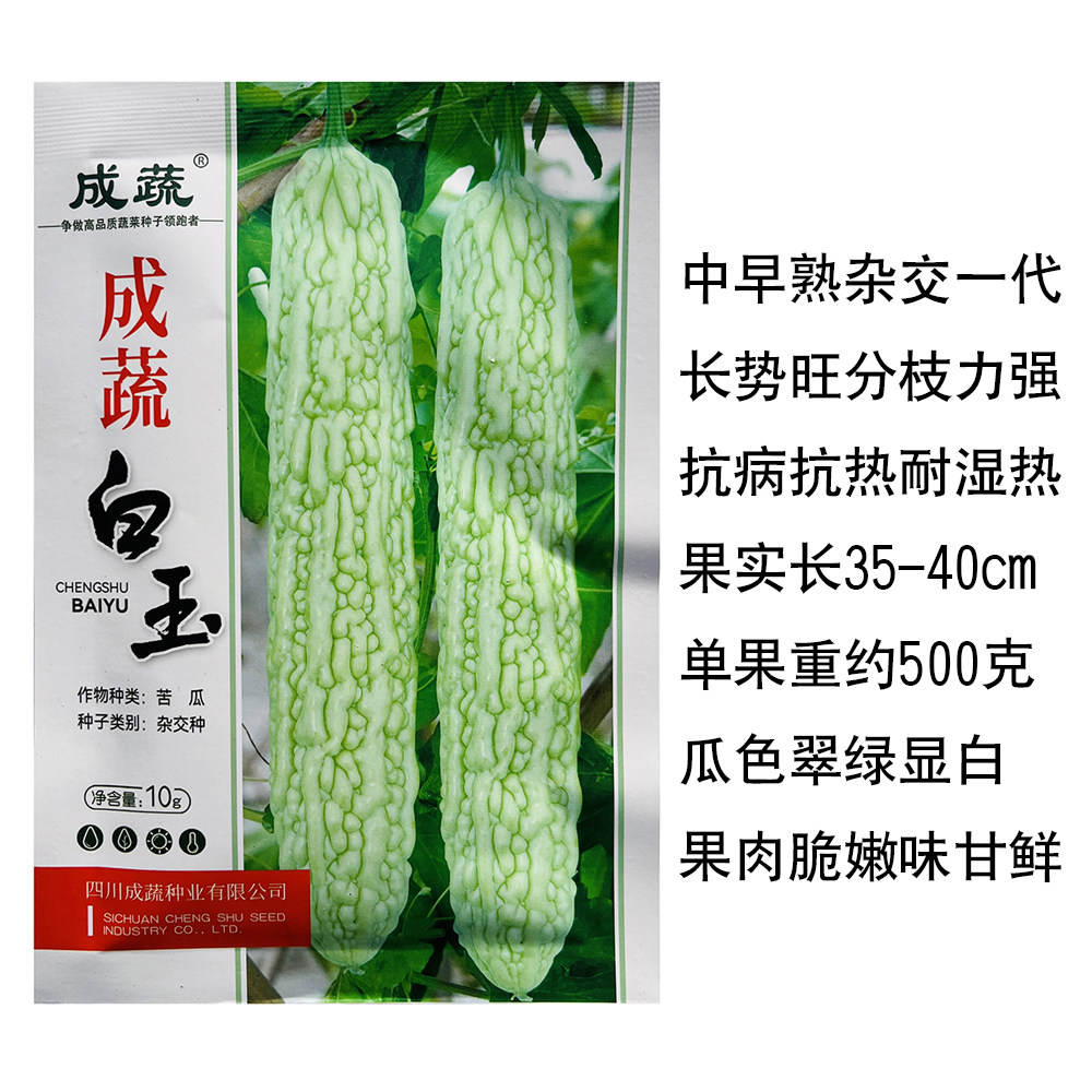 成蔬白玉苦瓜种子翠绿苦瓜种子中早熟杂交白绿苦瓜种子抗病耐热孑
