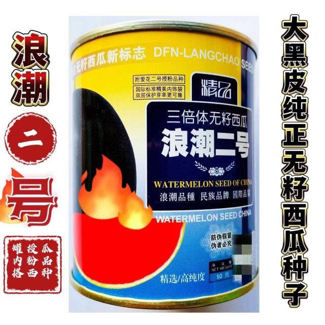 浪潮二号西瓜种子高产无籽西瓜种子黑皮甜大果三倍体无子四季春季
