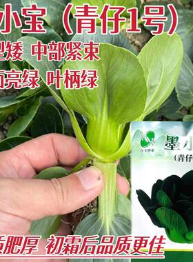 墨小宝黑叶青梗菜宁夏矮脚苏州青菜种籽上海青菜种子耐寒菜种正品