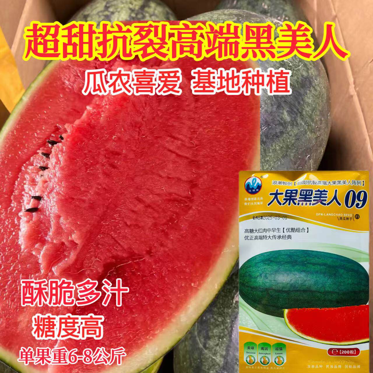 大果黑美人09西瓜种子早熟高糖薄皮抗病抗裂黑皮西瓜种籽长椭圆形