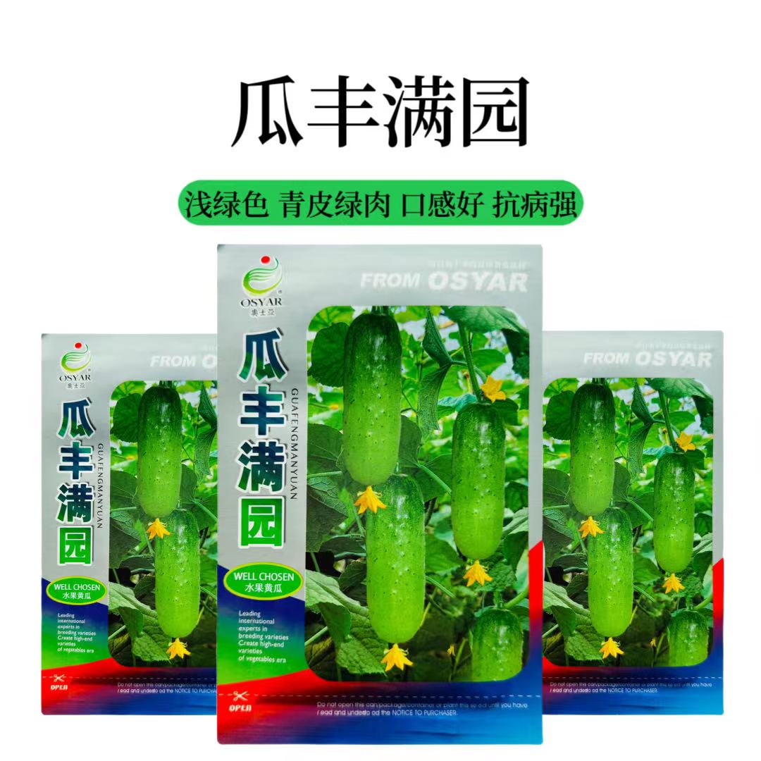 瓜丰满园水果黄瓜种子抗病高产肉厚质脆味甜水果黄瓜种子包邮
