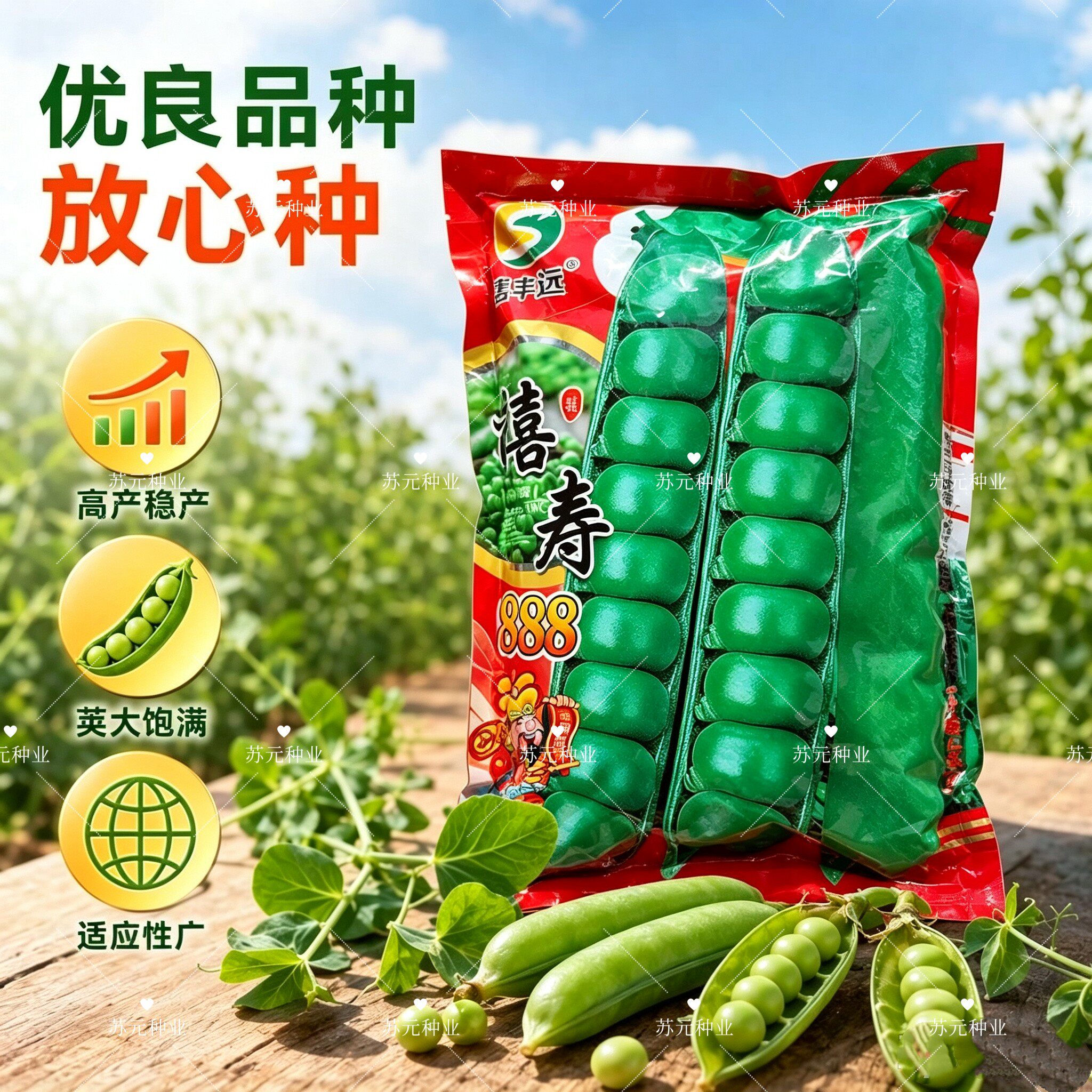 禧寿888台湾长寿仁豌豆种子籽大粒荚长饱满甜豌豆荚春秋豌豆种籽