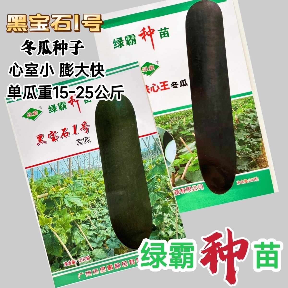 黑宝石1号黑皮冬瓜种子特大超长巨型肉厚粉嫩腔小四季蔬菜种籽孑