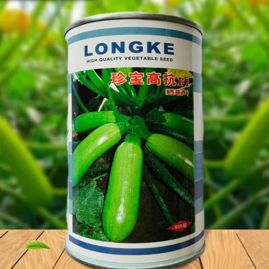 珍宝高抗西葫芦种子抗病毒油绿高产耐寒角瓜种籽春秋季蔬菜种子
