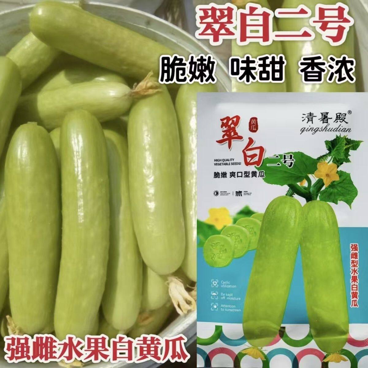 翠玉二号强雌型水果白黄瓜种子早熟杂交肉厚味甜质脆瓜码密春秋播