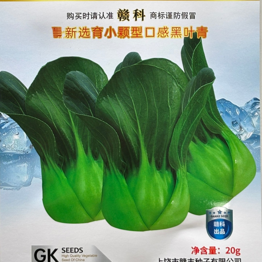 小黑仔青菜种子小颗型口感黑叶青甜糯叶柄厚绿青梗菜种孑蔬菜种籽