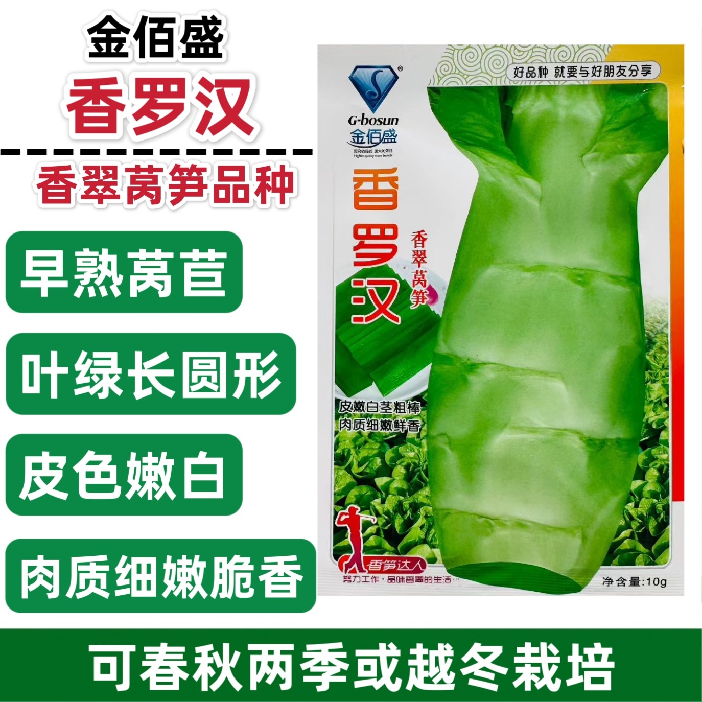 香罗汉莴笋种子春秋越冬莴苣种子嫩白皮香莴笋种籽脆嫩清香