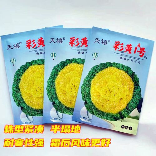 彩黄1号秋冬黄心乌塌菜种子