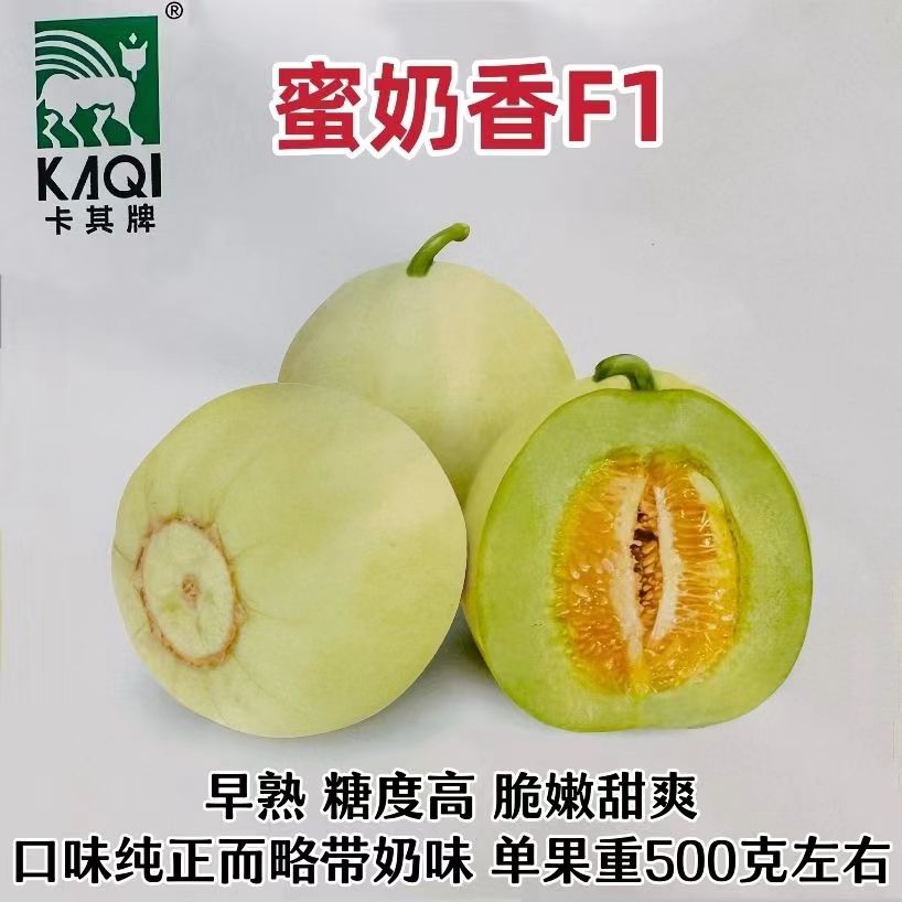 卡其牌蜜奶香甜瓜种子糖度高早熟脆嫩香甜水果种子一代杂交香瓜种