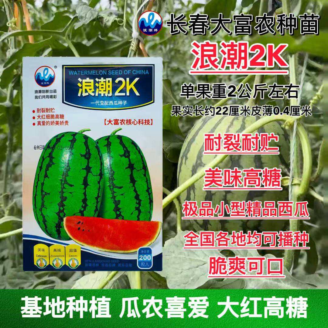 浪潮2k西瓜种子极早熟薄皮高糖椭圆形礼品小西瓜种籽吊瓜孑大红瓤