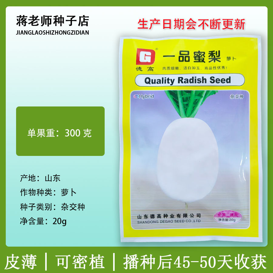 蔬菜种子脆甜多汁鸭蛋形白萝卜种籽优选一品蜜梨圆萝卜种孑