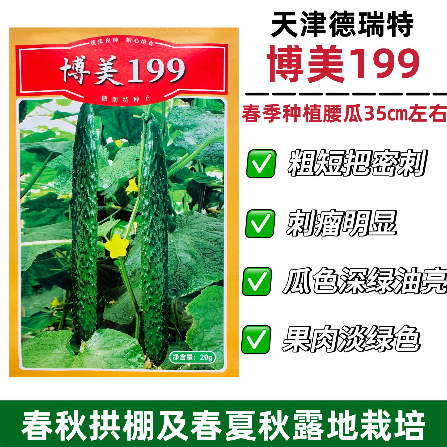 博美199黄瓜种籽油亮绿肉绿瓤耐热密刺长黄瓜种子春夏秋季