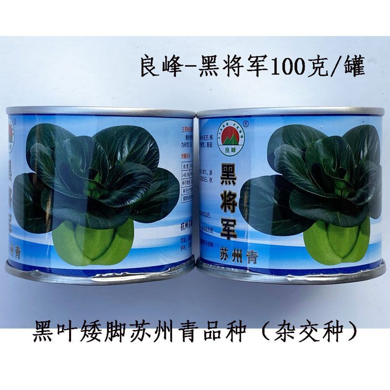 矮脚苏州青种子黑将军苏州青种子矮大头黑叶青菜种籽青梗菜种籽