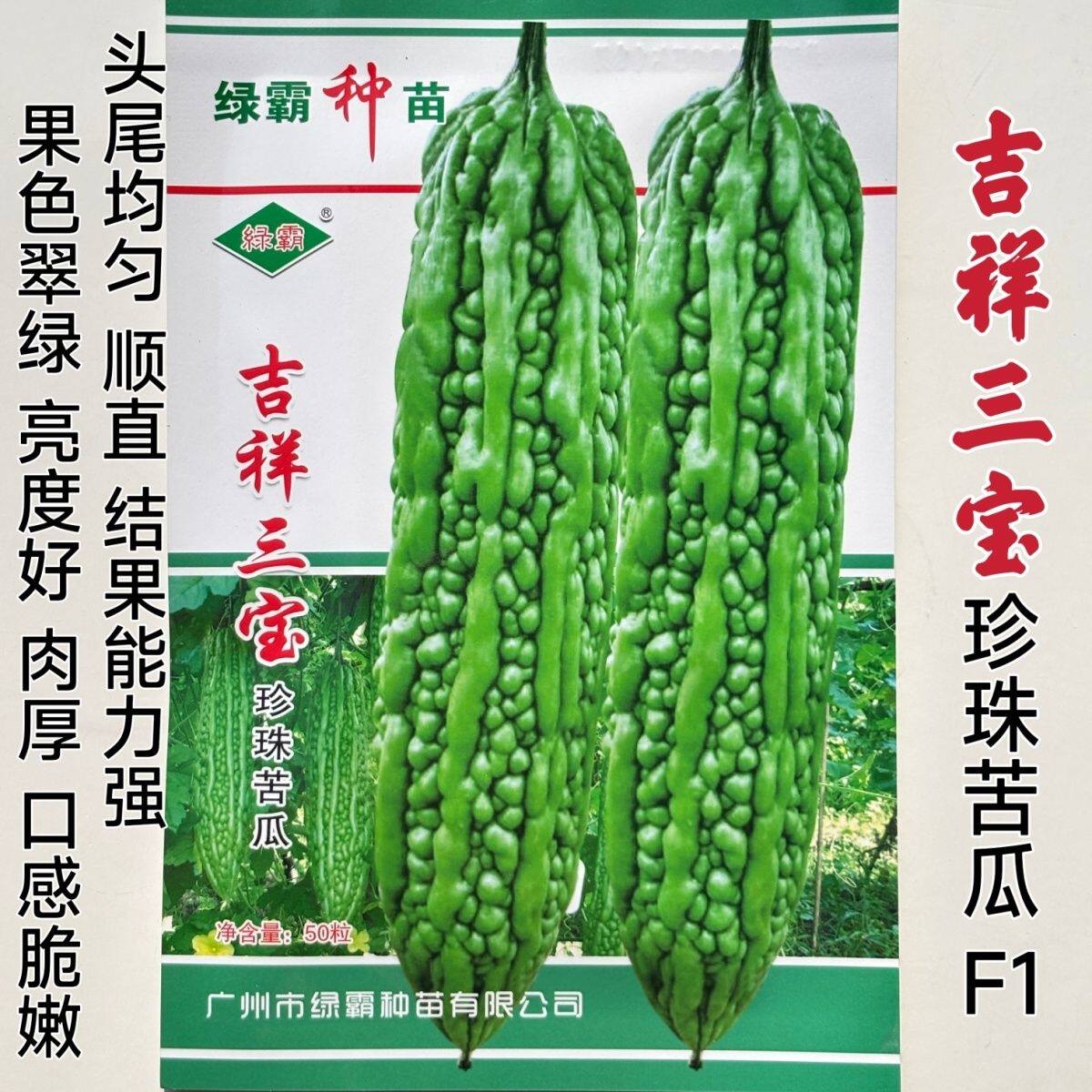 绿霸吉祥三宝苦瓜种子早熟杂交珍珠苦瓜种果皮翠绿春秋季苦瓜种孑