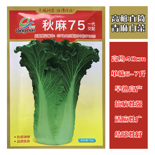 天津大青麻绿叶白菜种子秋麻75高产抗病直筒大白菜种子高筒老白菜