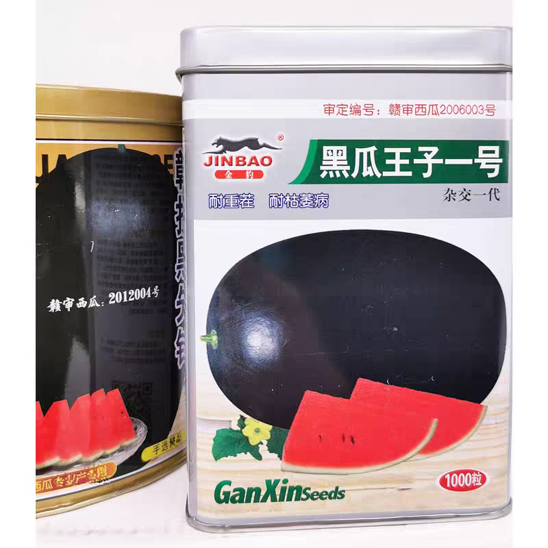 黑瓜王子一号西瓜种籽高产抗病春季早熟甜耐重茬长黑皮西瓜种子