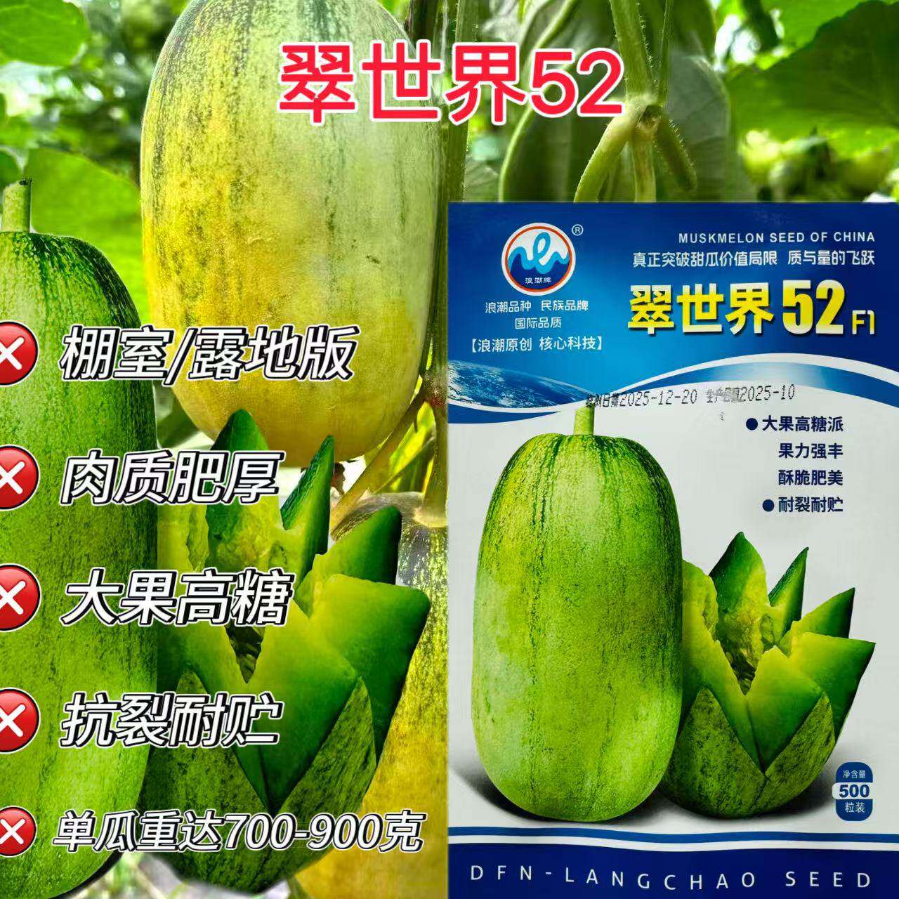 浪潮翠世界52甜瓜种子中熟皮薄果肉青绿色细脆酥香甜多汁抗病高产