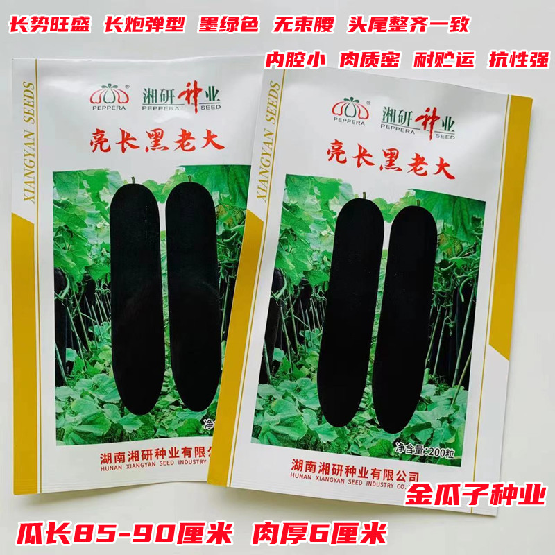 亮长黑老大黑皮冬瓜种子种籽苗特大巨型黑皮蔬菜孑东瓜蔬莱春天菜