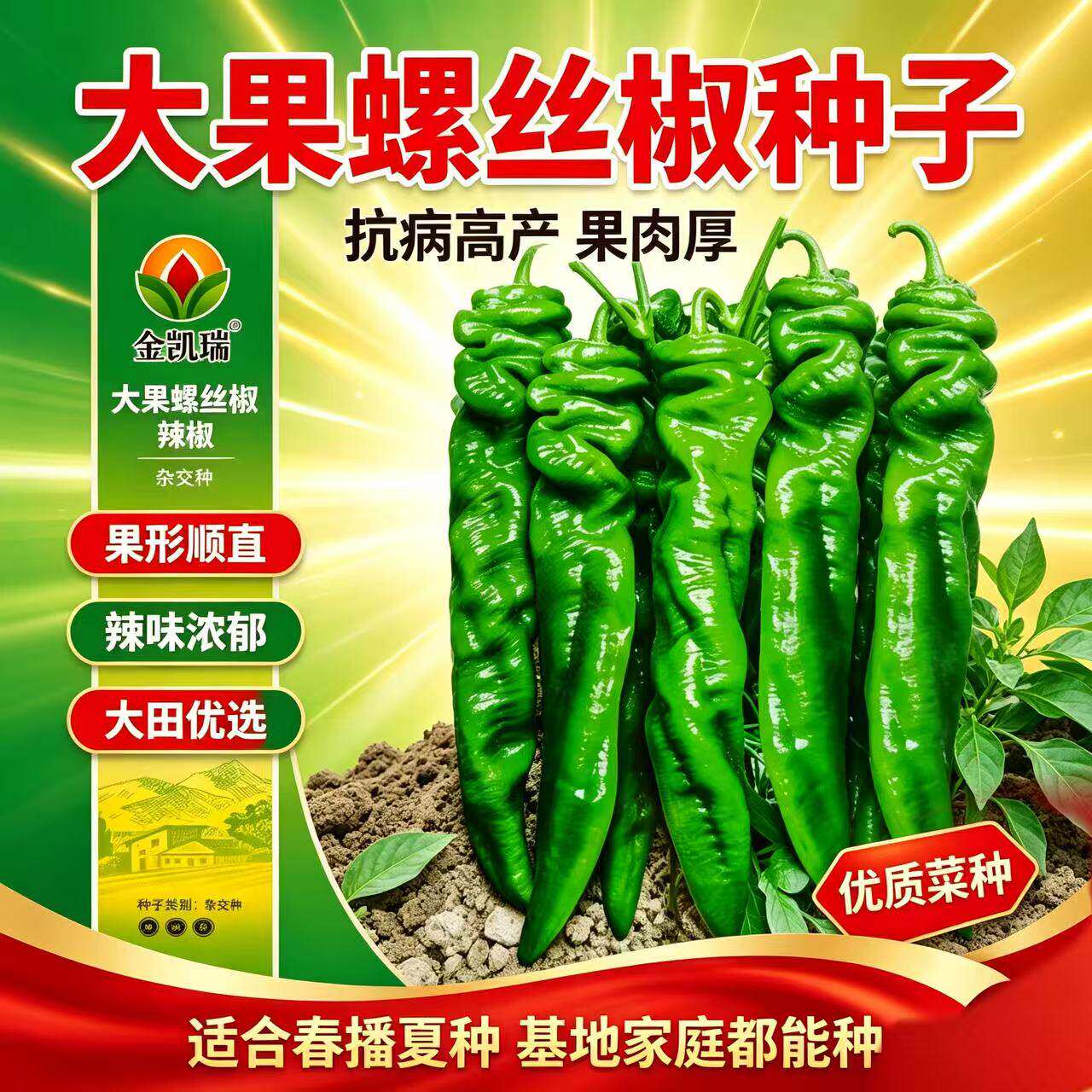 金凯瑞大果螺丝椒种子早熟陇椒辣椒种子高产薄皮肉厚辣椒种子籽
