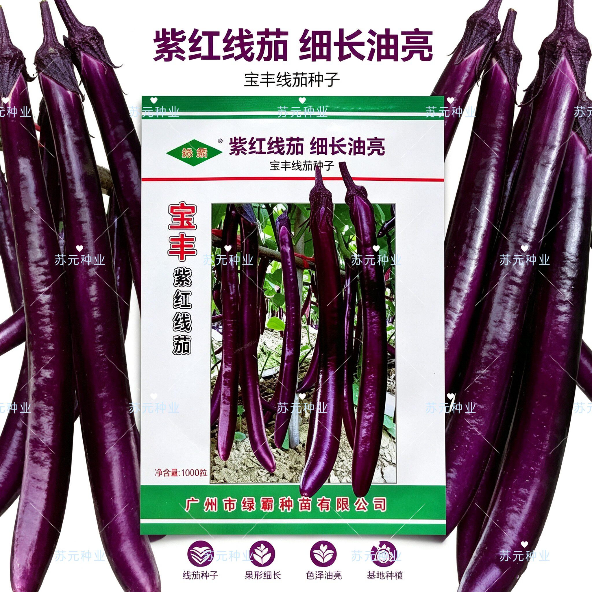 宝丰紫红线茄种子杭茄种子高产紫红线茄种籽早熟耐热耐湿蔬菜种子